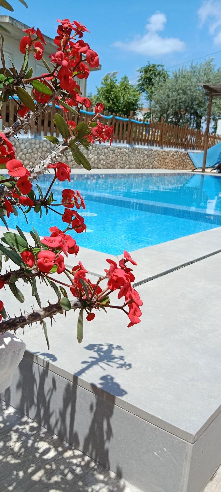 Hotel Villa Ruci Ksamil Cameră foto